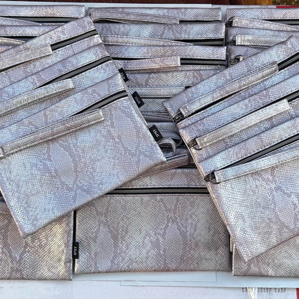 30 Ipsy Glam Cosmetic / Makeup Bag ~Silver Snakeskin ~ November 2024 ~ Loop!